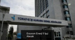 Erzurum Enerji 5 İşçi Alacak