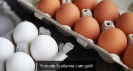 Yumurta fiyatlarına zam geldi