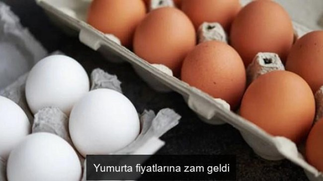Yumurta fiyatlarına zam geldi