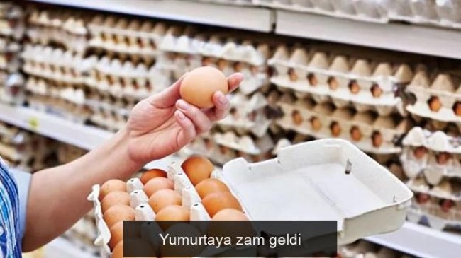 Yumurtaya zam geldi